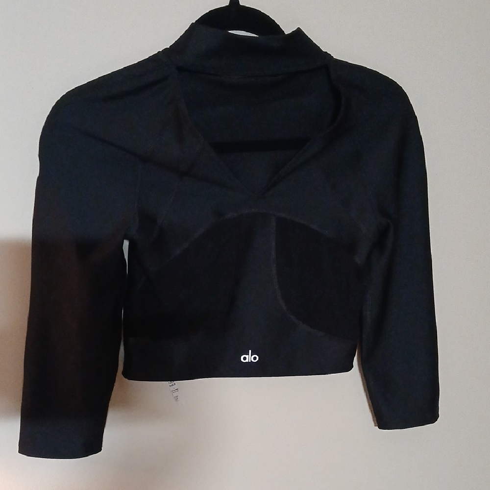 ALO Yoga Black Crop Top